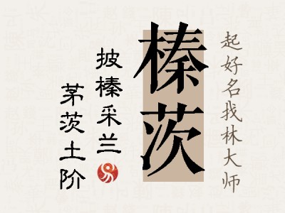 榛茨