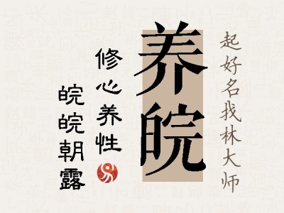 养皖