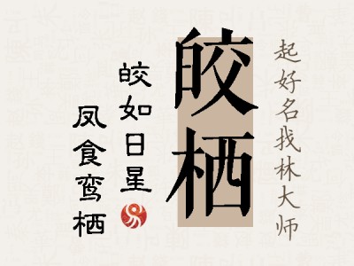 皎栖