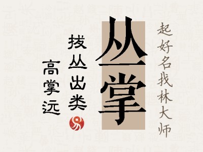 丛掌