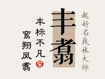 丰翥