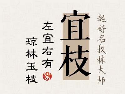 宜枝