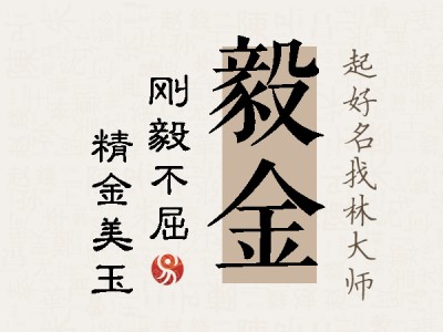 毅金