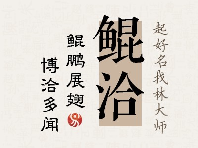 鲲洽