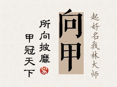 向甲