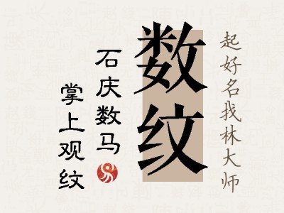 数纹