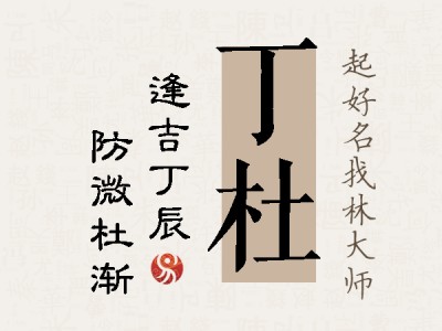 丁杜