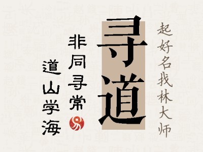 寻道