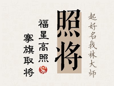 照将