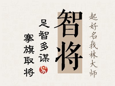 智将