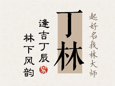 丁林