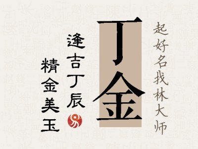 丁金