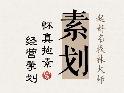 素划