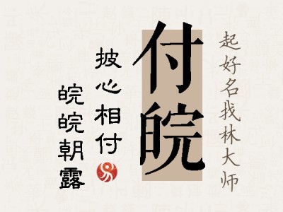 付皖