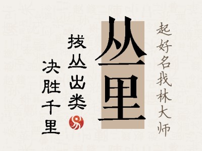 丛里