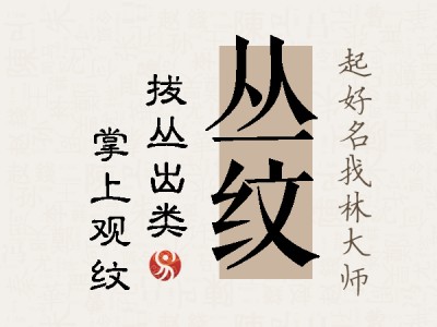 丛纹